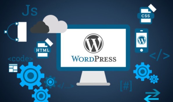 Professional WordPress website design services in Hamilton